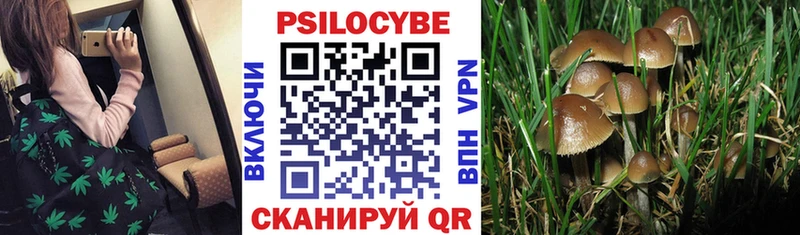 Галлюциногенные грибы MAGIC MUSHROOMS  Баксан 